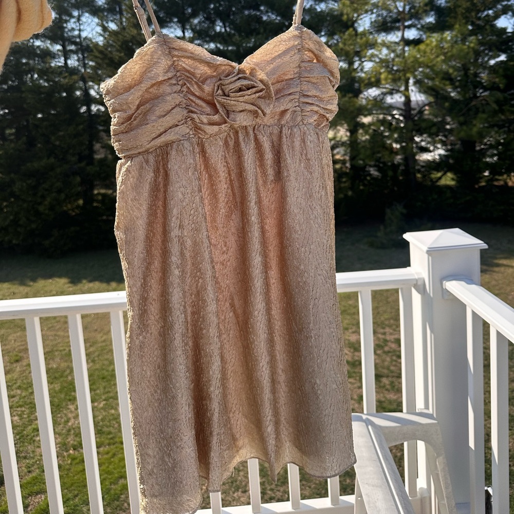 Storia Iridescent Champagne Textured Slip Dress with Rosette